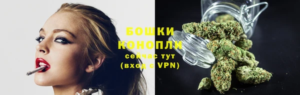 молекула духа Богородск